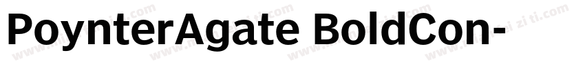 PoynterAgate BoldCon字体转换